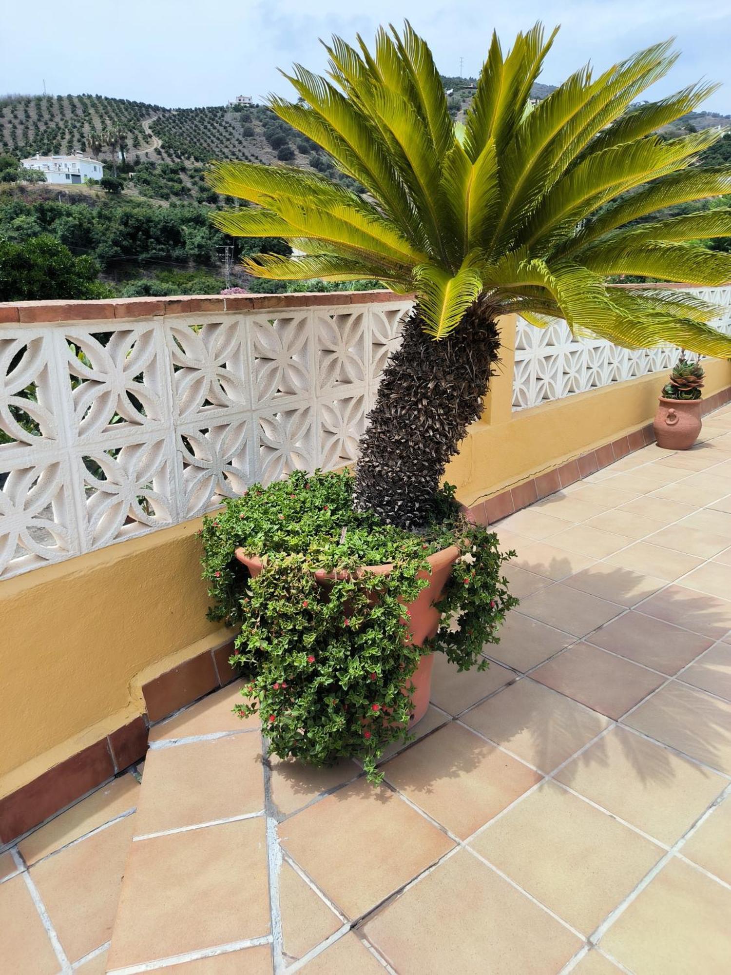 Cortijo Maria Gomez Villa Málaga Exterior foto